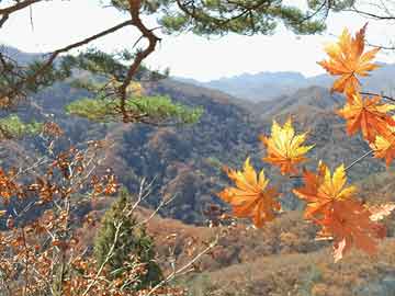 日本明星去北京旅游,日本明星去北京旅游视频